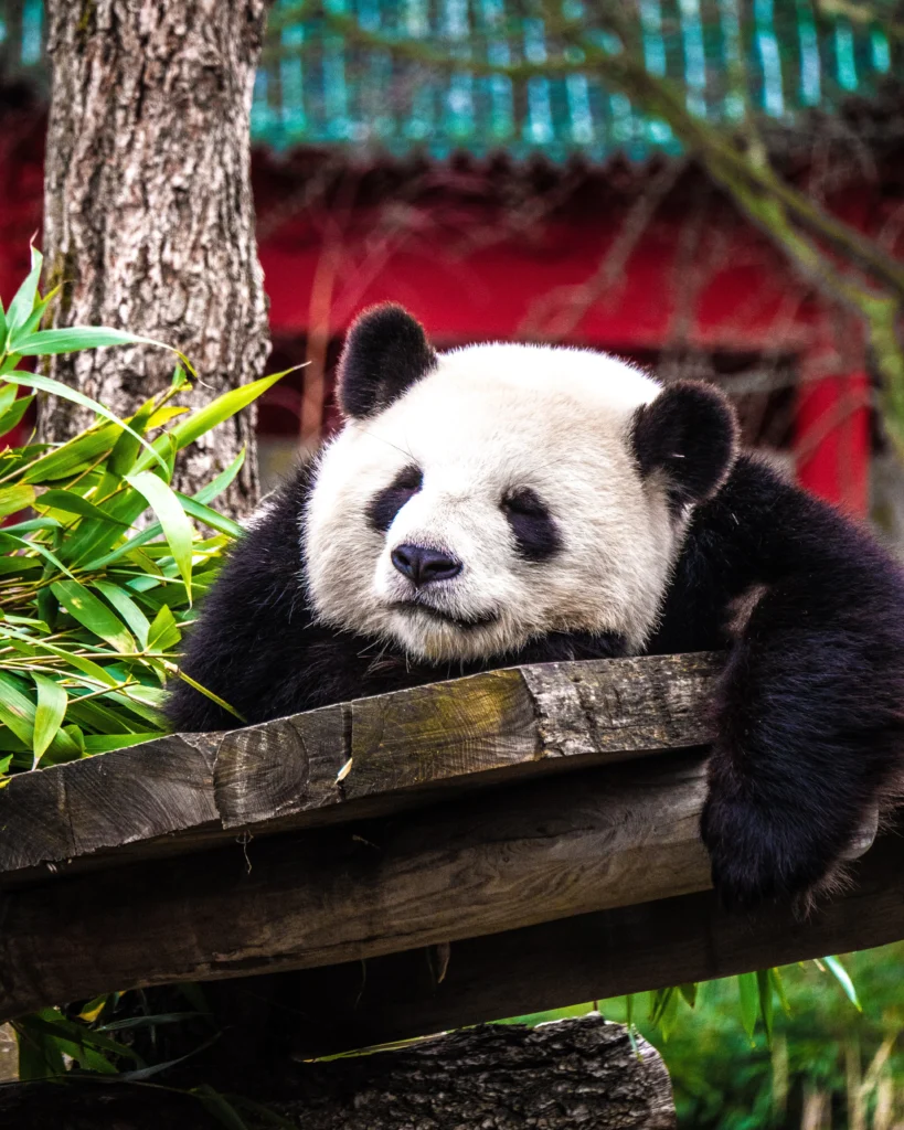 zoo de berlin en famille