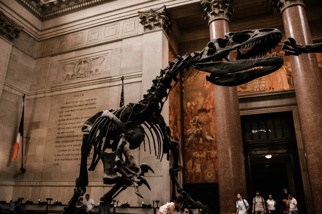 musee a visiter a new york