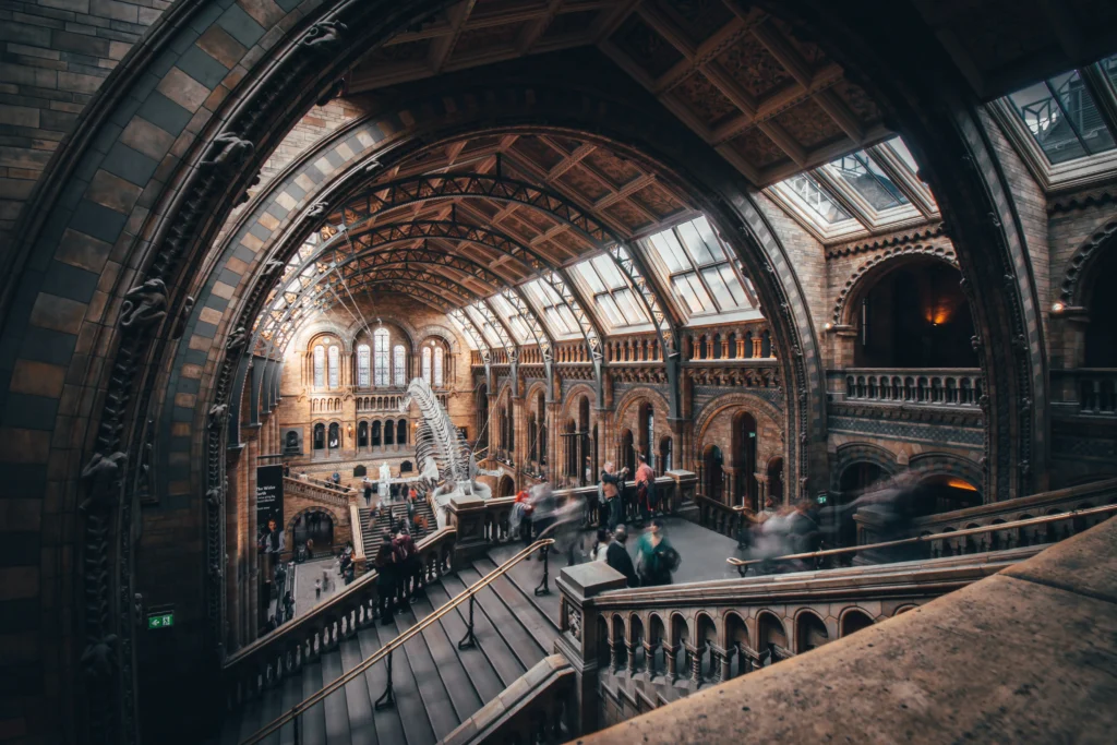 musee histoire naturelle londres