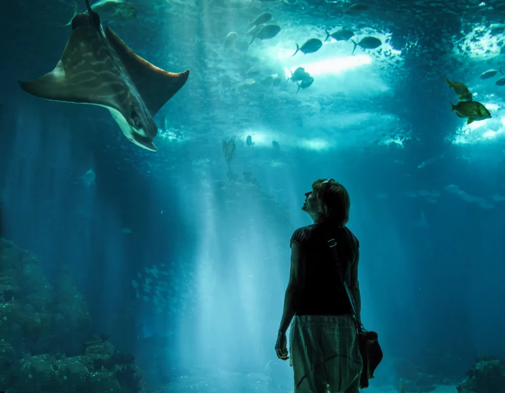 aquarium visite lisbonne avec enfants