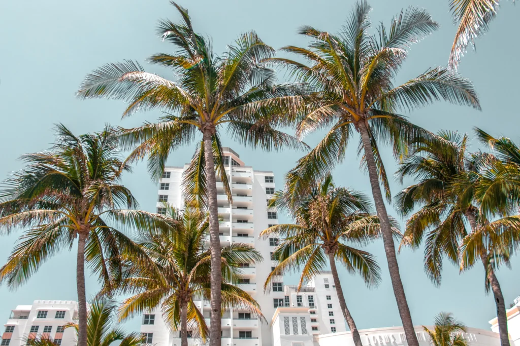 ou dormir a miami florida hotels
