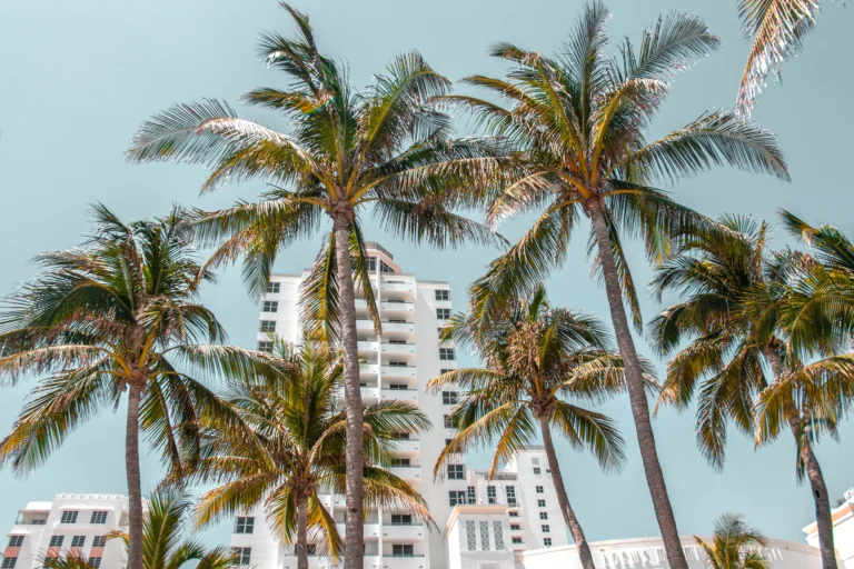 ou dormir a miami florida hotels