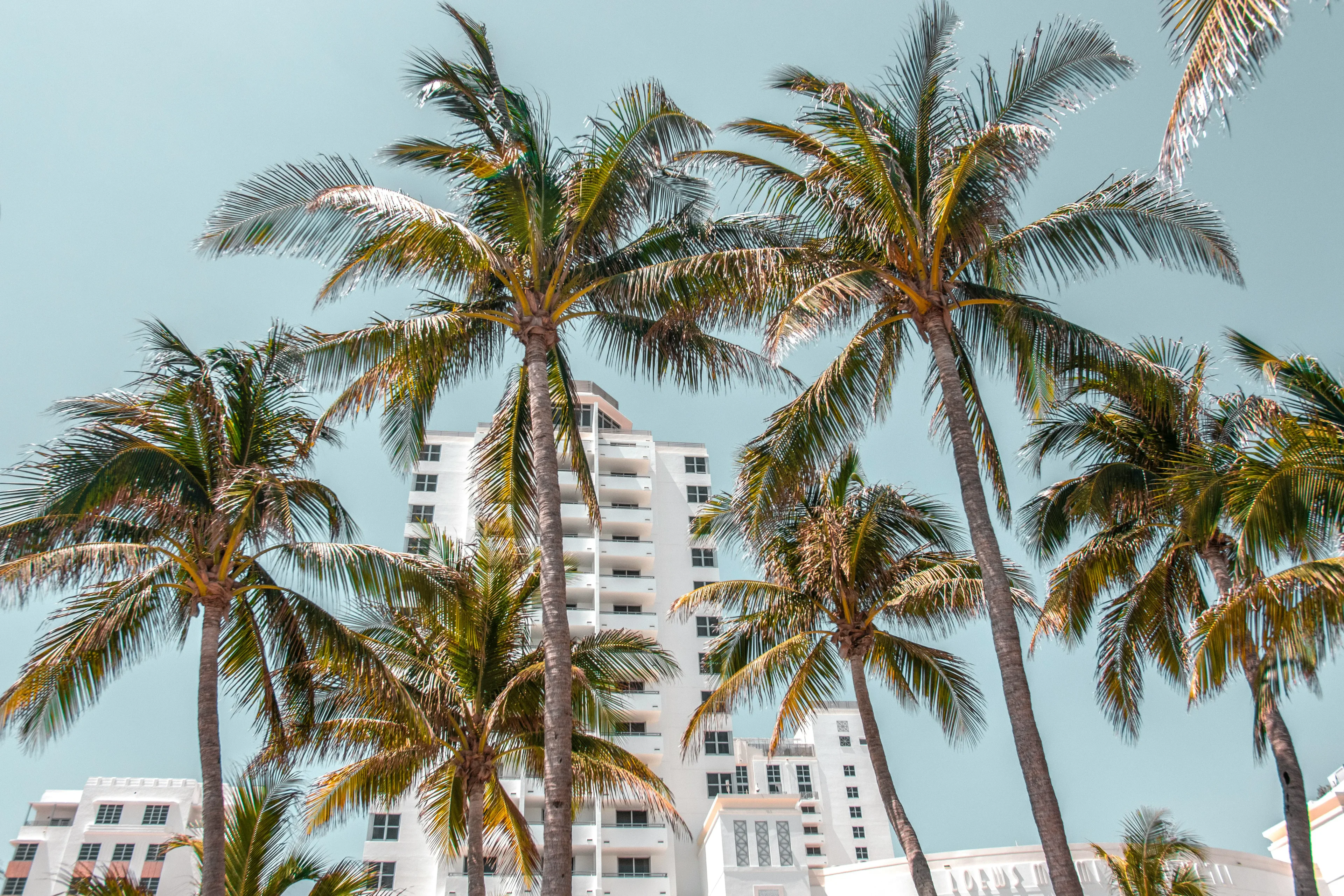 ou dormir a miami florida hotels